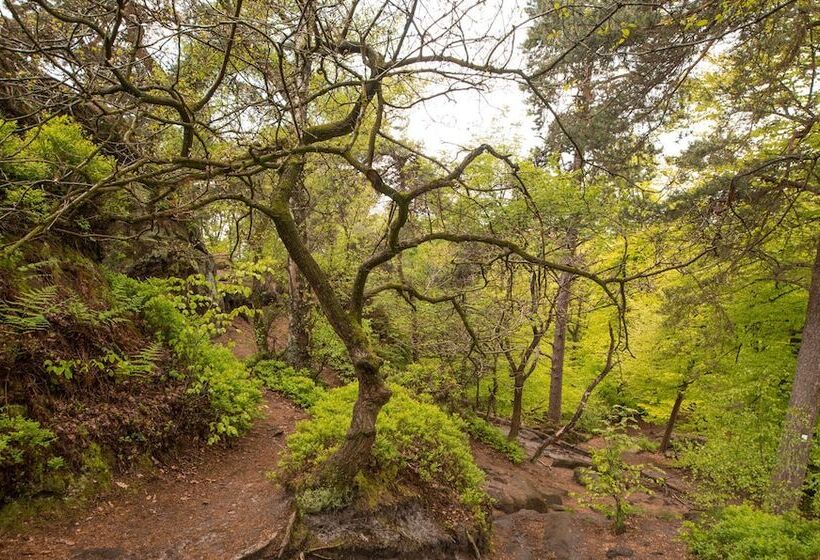 Privathotel Riesenbeck