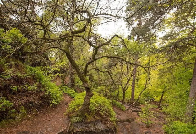 Privathotel Riesenbeck