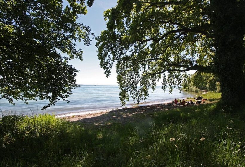 Отель Schiff Am See