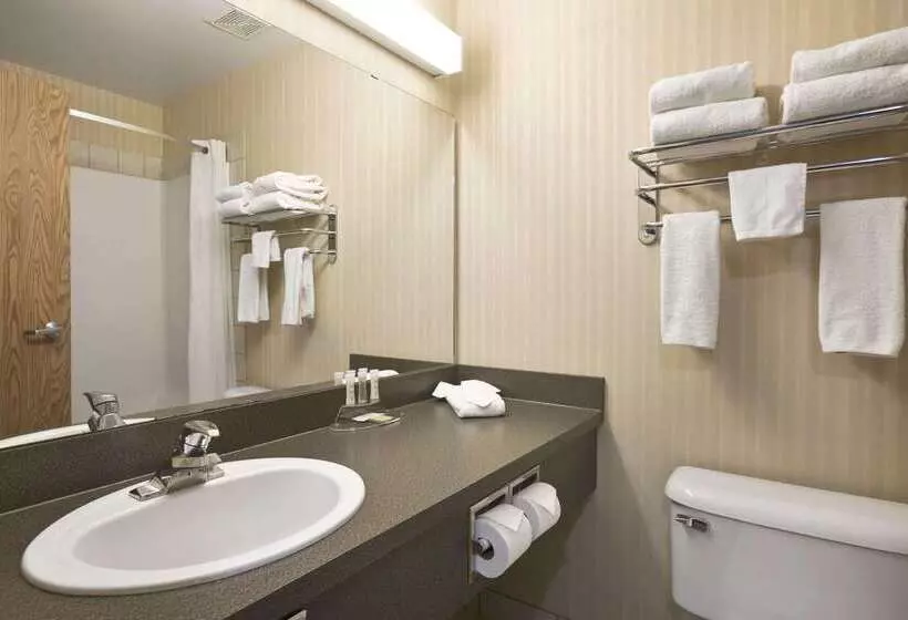 汽车旅馆 Super 8 By Wyndham High Level Ab