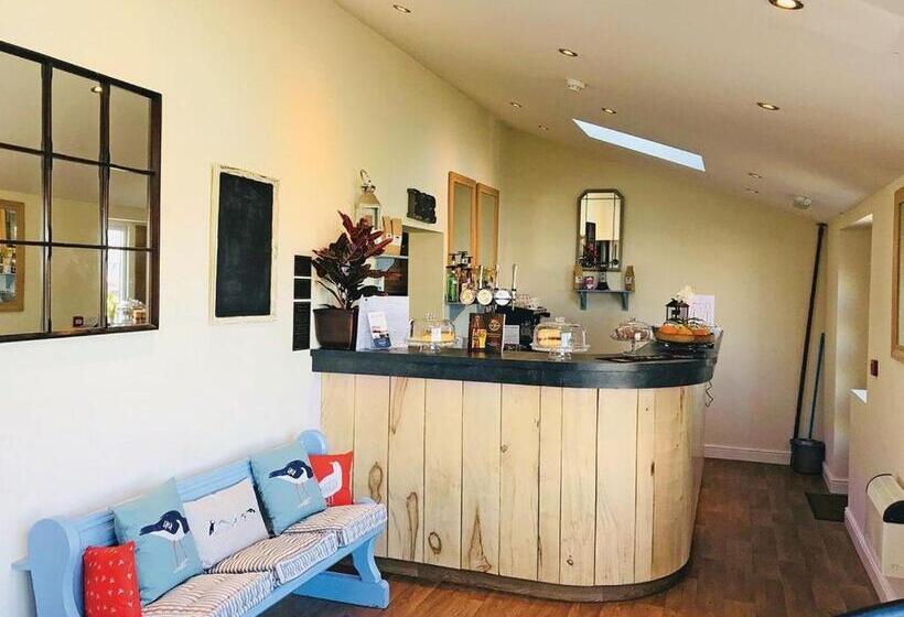 استراحتگاه Ty Gwyn Park