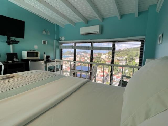 هاستل The Green Iguana