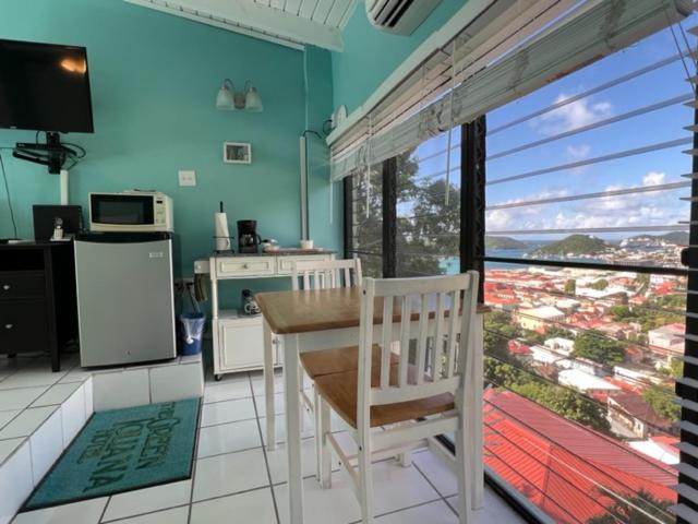 هاستل The Green Iguana