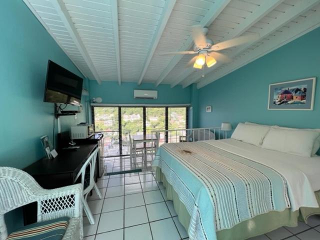 هاستل The Green Iguana