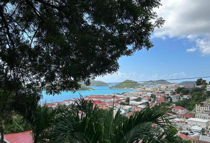 هاستل The Green Iguana