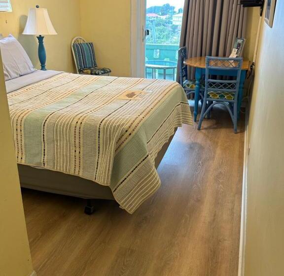 هاستل The Green Iguana