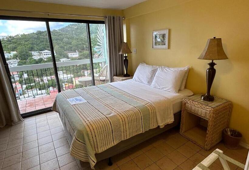 هاستل The Green Iguana