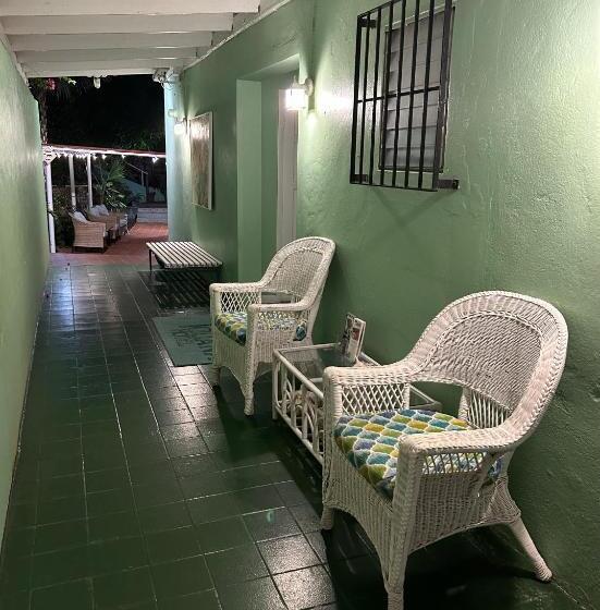 هاستل The Green Iguana