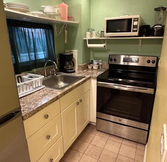 هاستل The Green Iguana