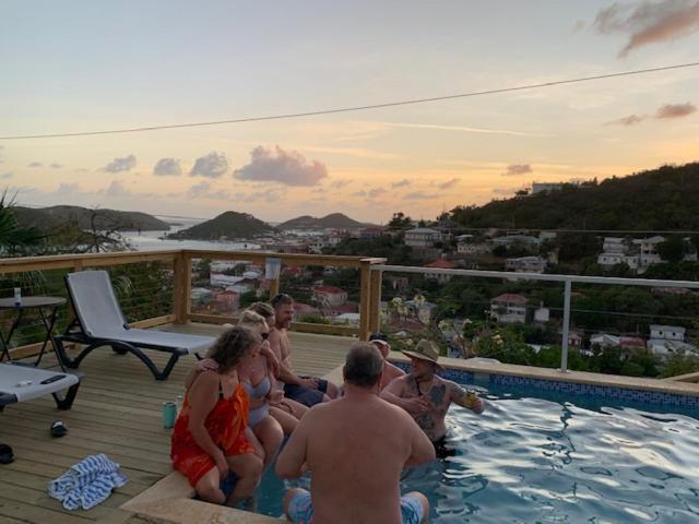 هاستل The Green Iguana