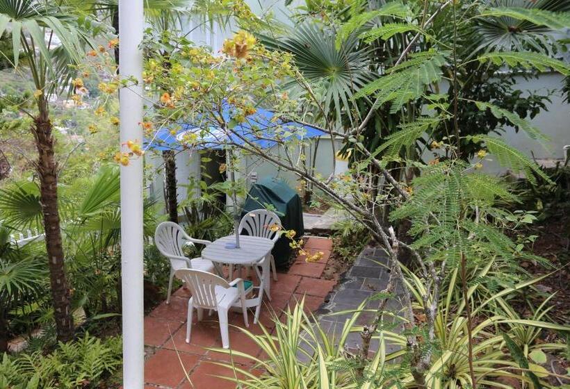 هاستل The Green Iguana