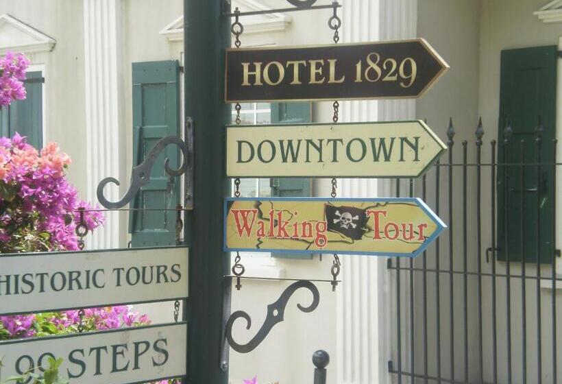 هاستل The Green Iguana