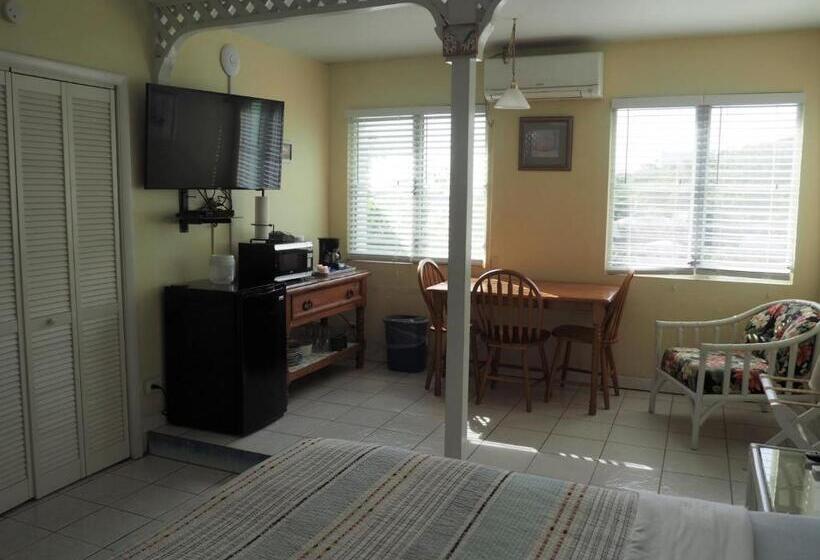 هاستل The Green Iguana