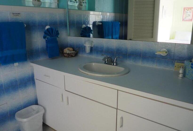 هاستل The Green Iguana