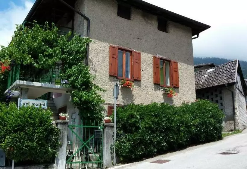 B&b Zita