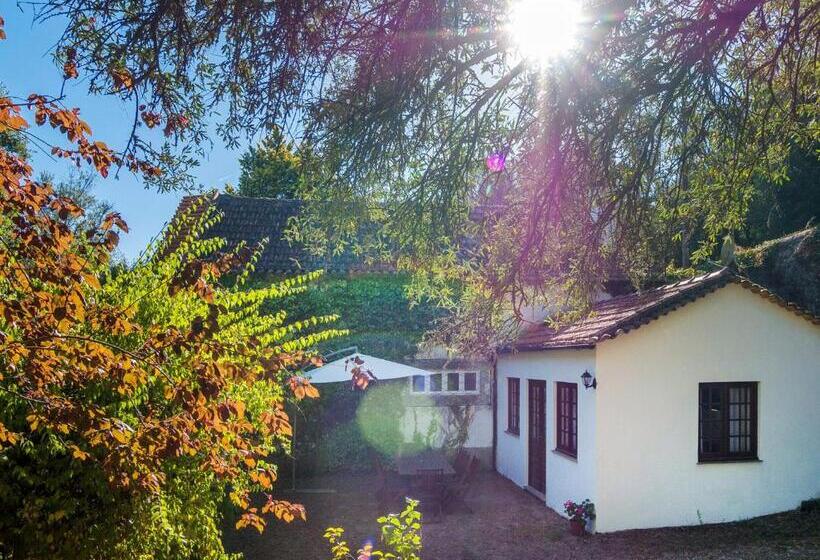 호텔 Casas De Massinos