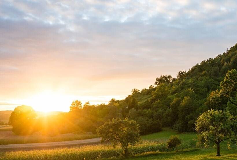 فندق Gästehaus Juhl