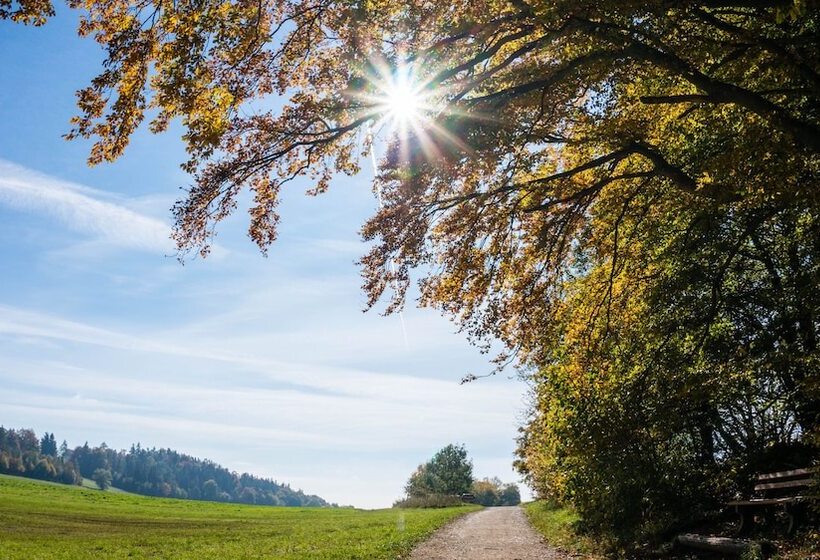 فندق Gästehaus Juhl