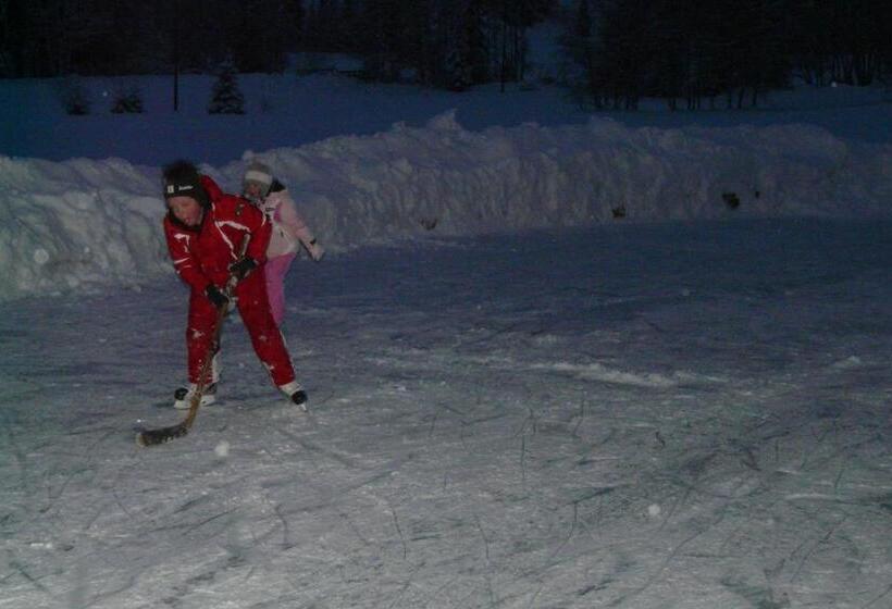 ホテル Larchhof Ratschings