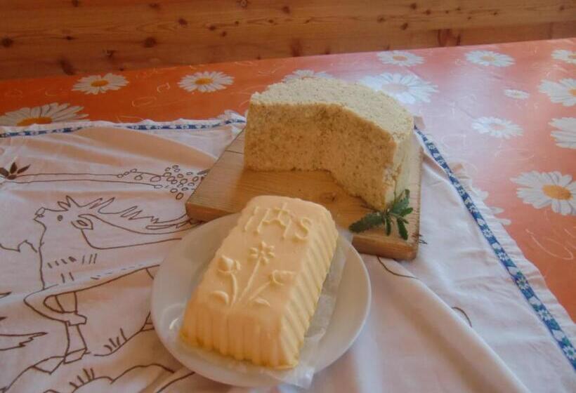 ホテル Larchhof Ratschings