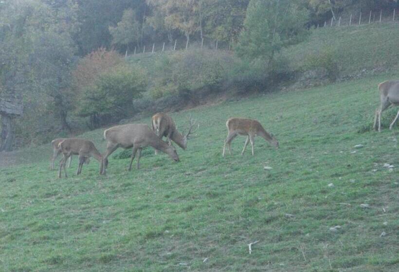 ホテル Larchhof Ratschings