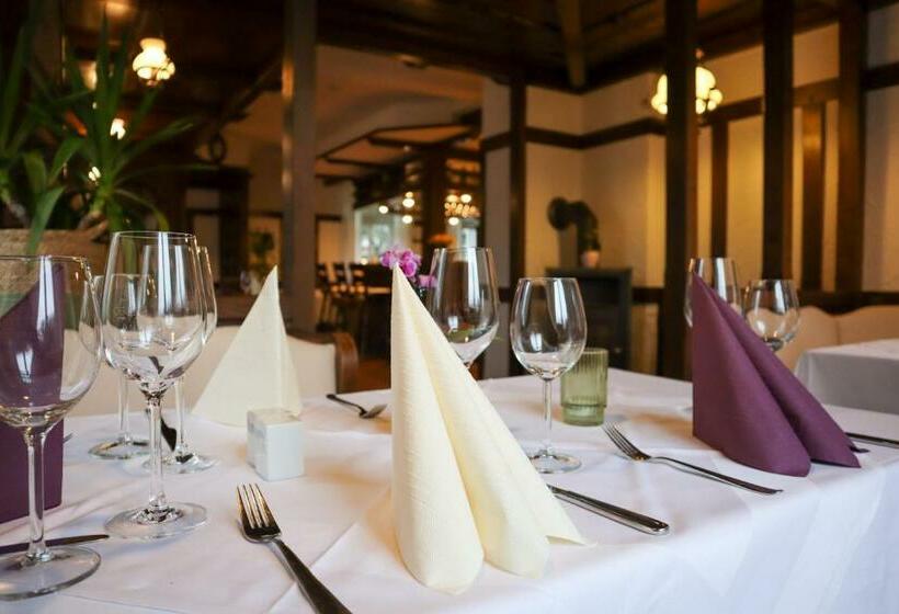 酒店 Rehlinger Hof