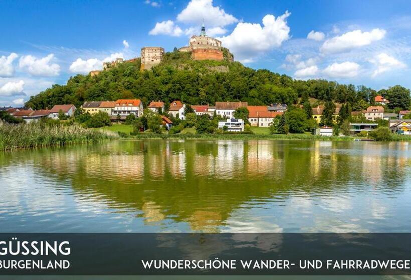 膳宿费 Gasthof Silberner Hirsch