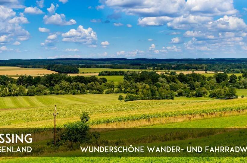 膳宿费 Gasthof Silberner Hirsch