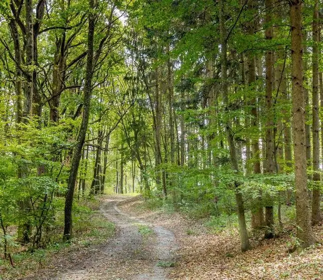 Majatalo Gasthof Silberner Hirsch