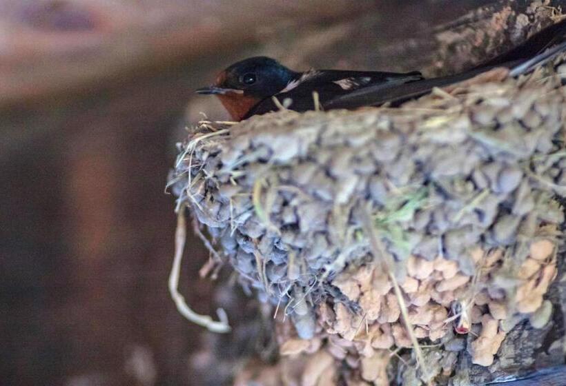 ペンション Kruchma Bratyata Guest House