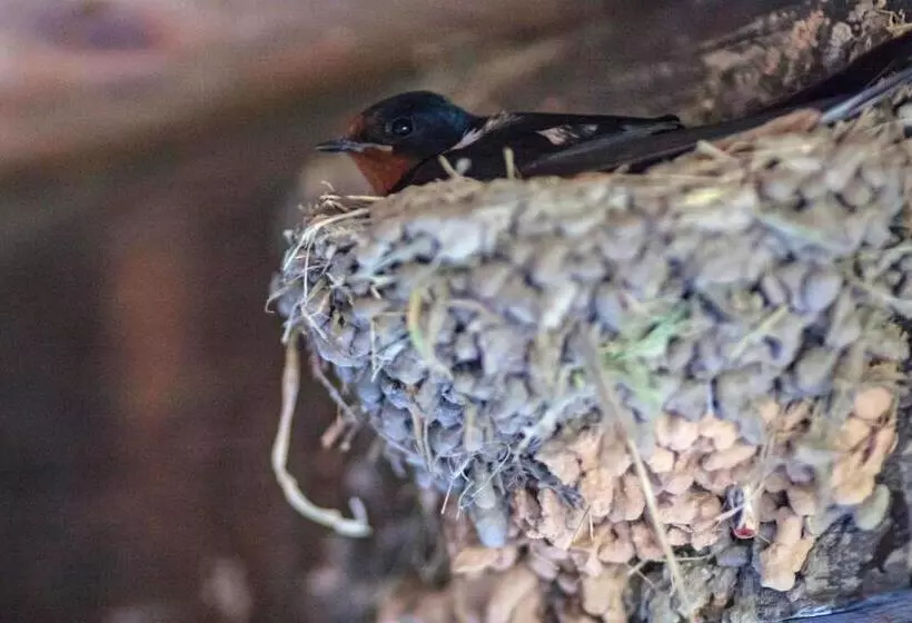 ペンション Kruchma Bratyata Guest House