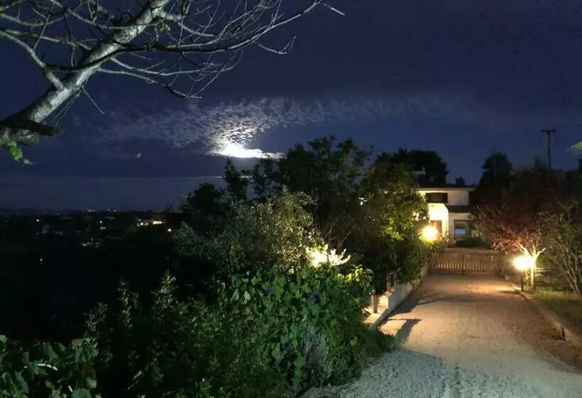 ベッドアンドブレックファースト Villa Asinara