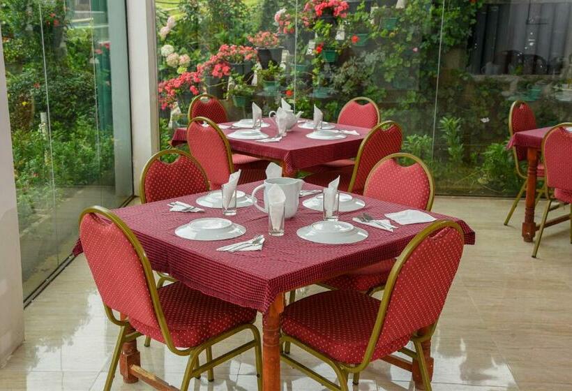 Отель Grand View