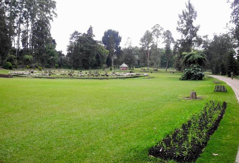 Отель Grand View