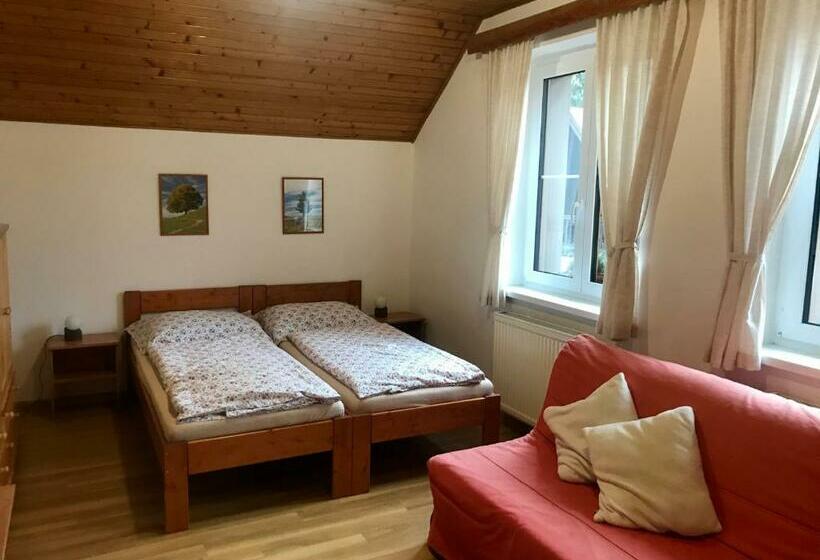 פנסיון Chalupa Václav Lipno