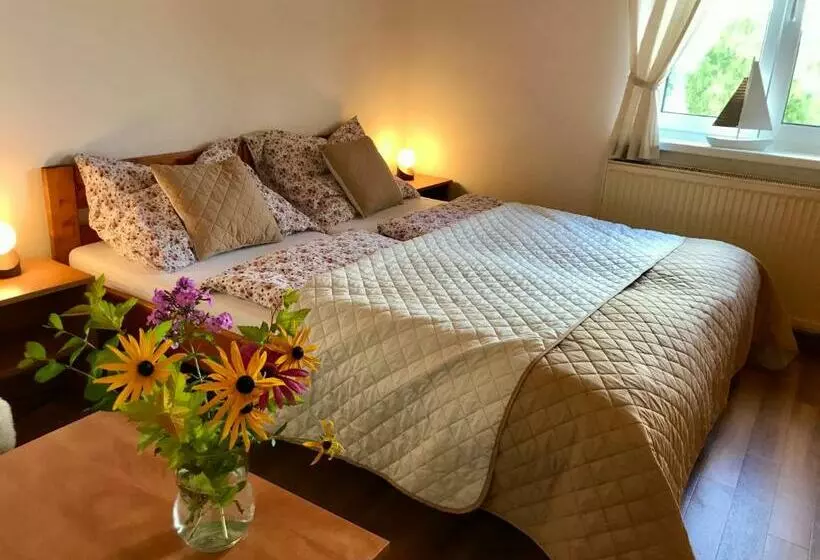 ペンション Chalupa Václav Lipno