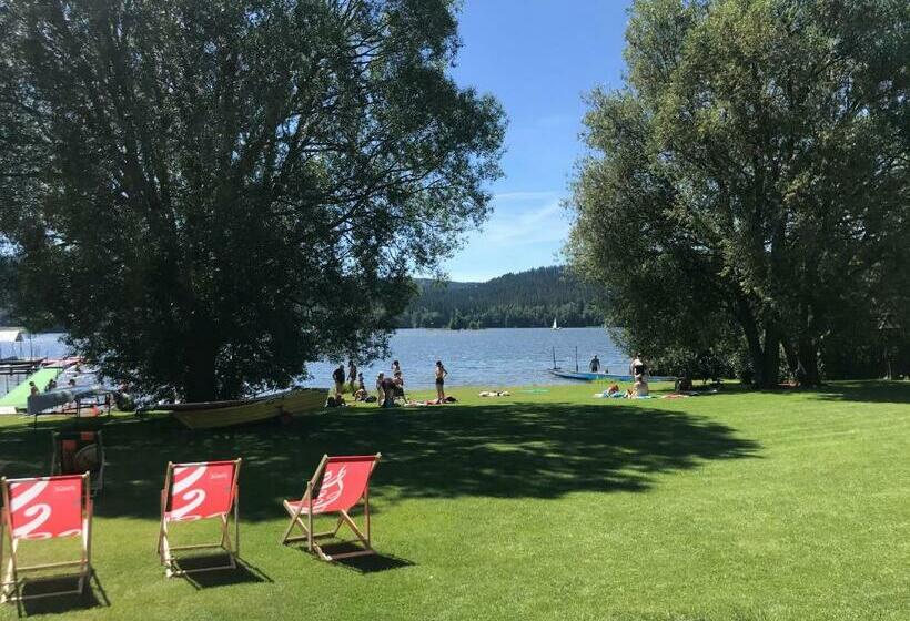 פנסיון Chalupa Václav Lipno