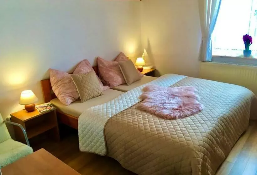 ペンション Chalupa Václav Lipno