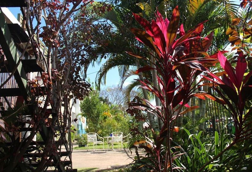 Asylum Cairns Hostel