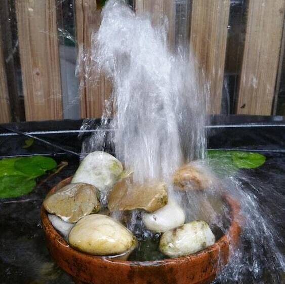 Asylum Cairns Hostel