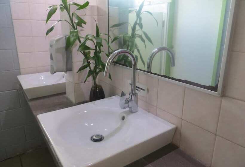 Asylum Cairns Hostel