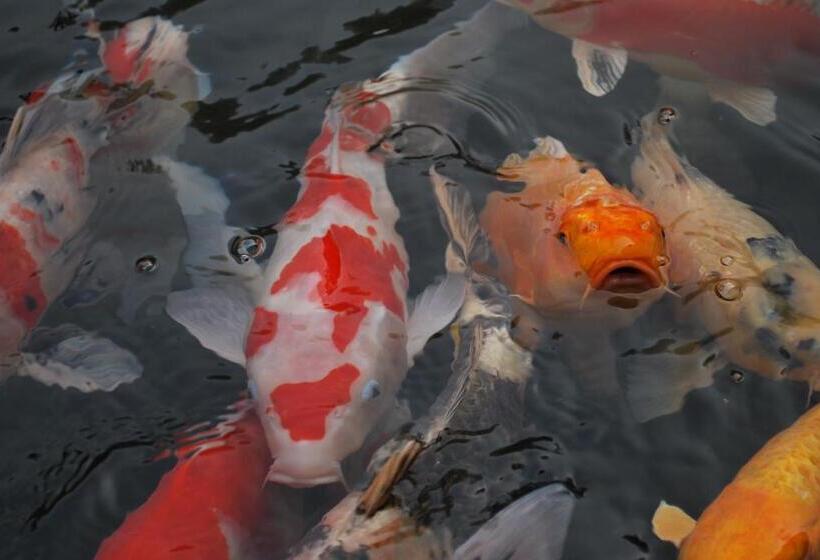 فندق Akizuki Spa Ryokan Seiryuan