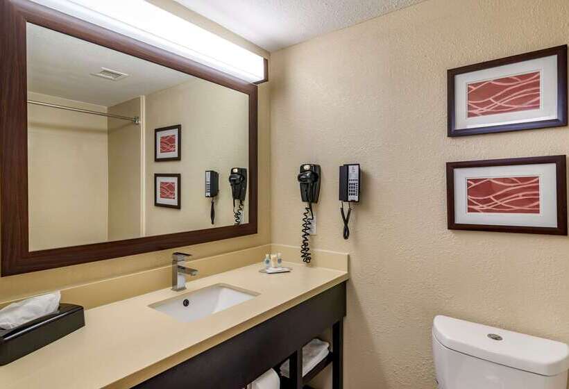 هتل Comfort Inn & Suites Near Six Flags