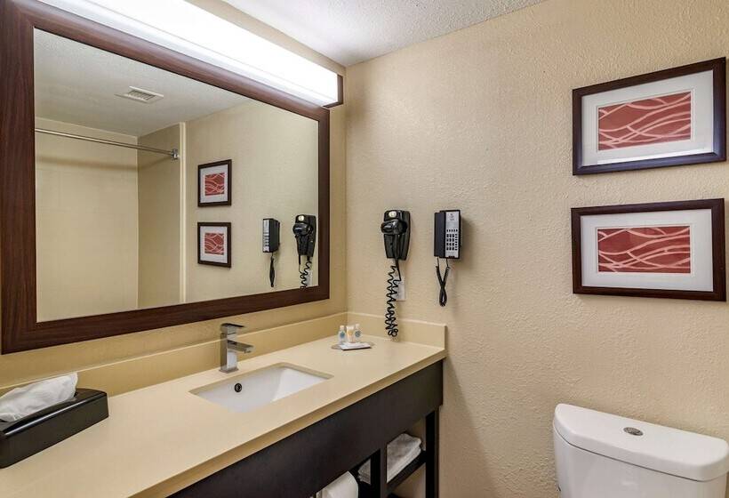 هتل Comfort Inn & Suites Near Six Flags