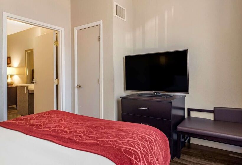 هتل Comfort Inn & Suites Near Six Flags