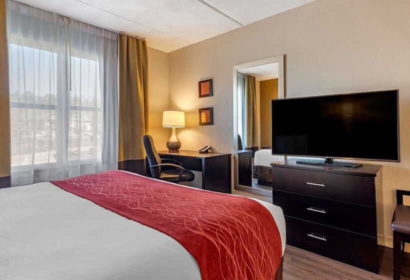 هتل Comfort Inn & Suites Near Six Flags