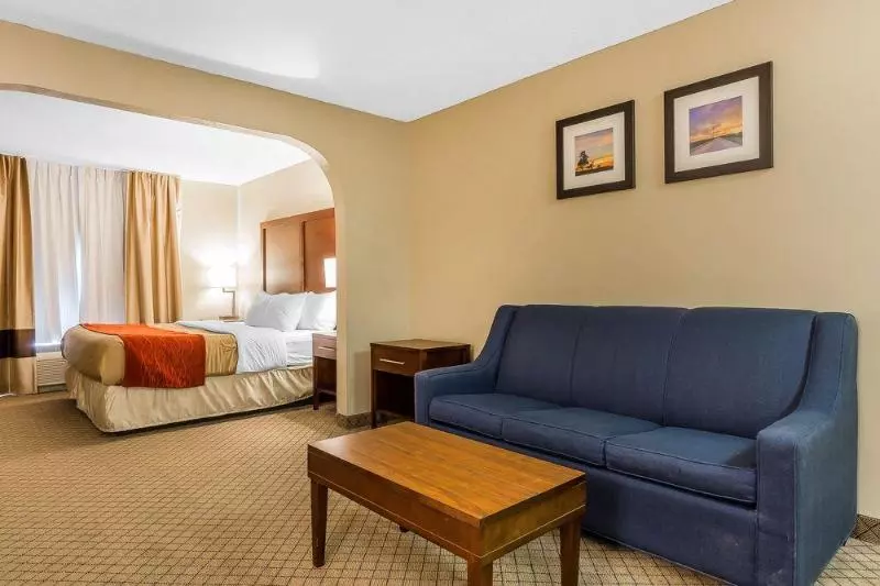 酒店 Comfort Inn & Suites Mishawakasouth Bend