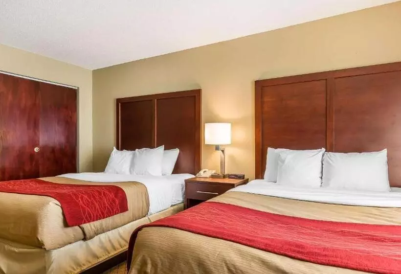 酒店 Comfort Inn & Suites Mishawakasouth Bend