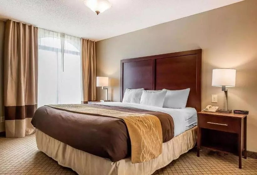 酒店 Comfort Inn & Suites Mishawakasouth Bend