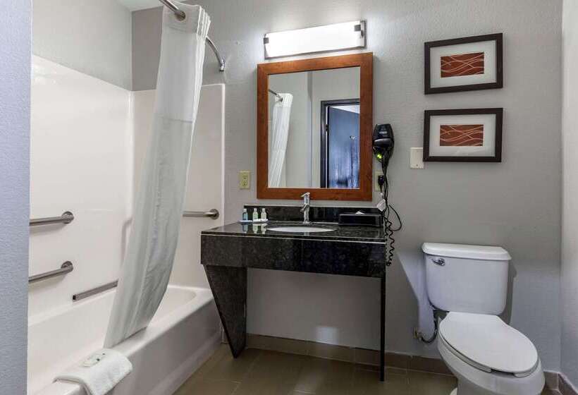 هتل Quality Inn & Suites I 35 E Walnut Hill